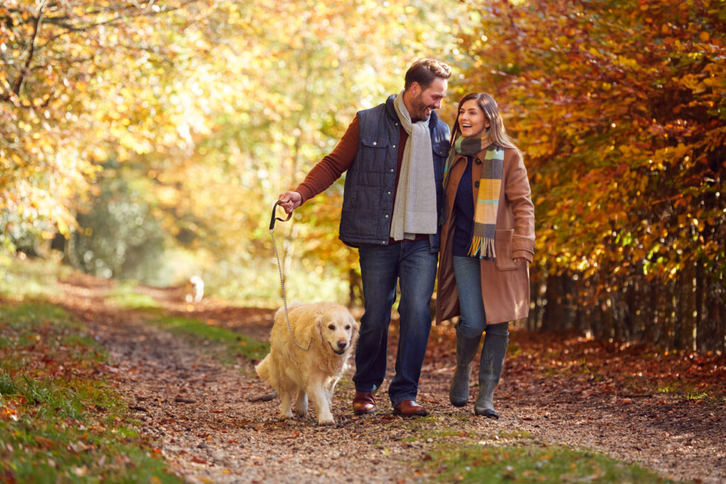Couple walking their dog along an autumn countryside track